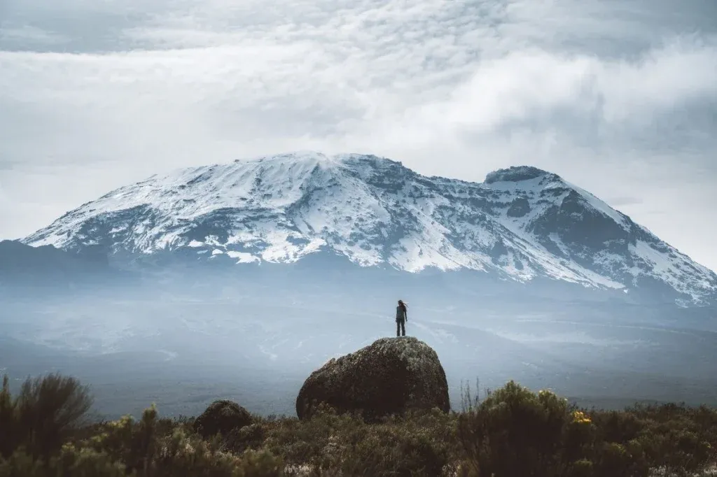 7 Days Kilimanjaro trekking via Lemosho Route