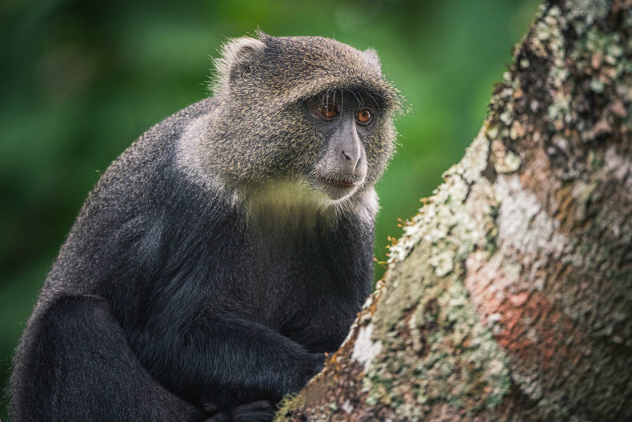 Arusha National Park