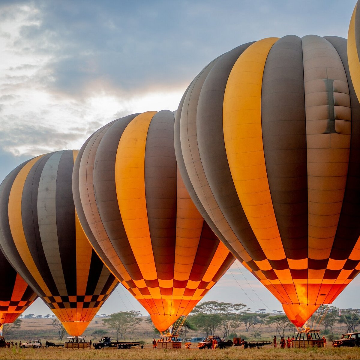 Balloon Safari