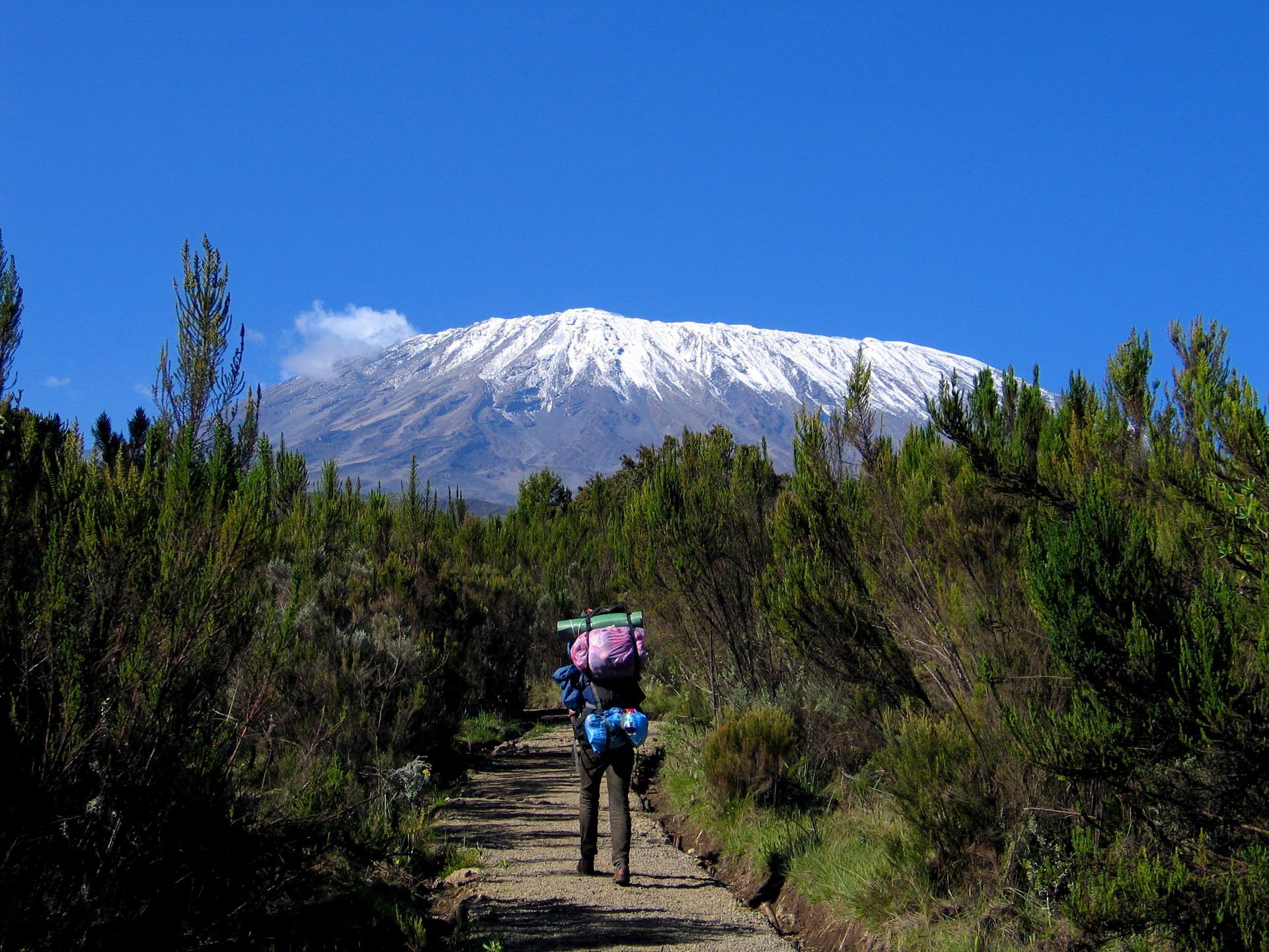 Hiking and Trekking