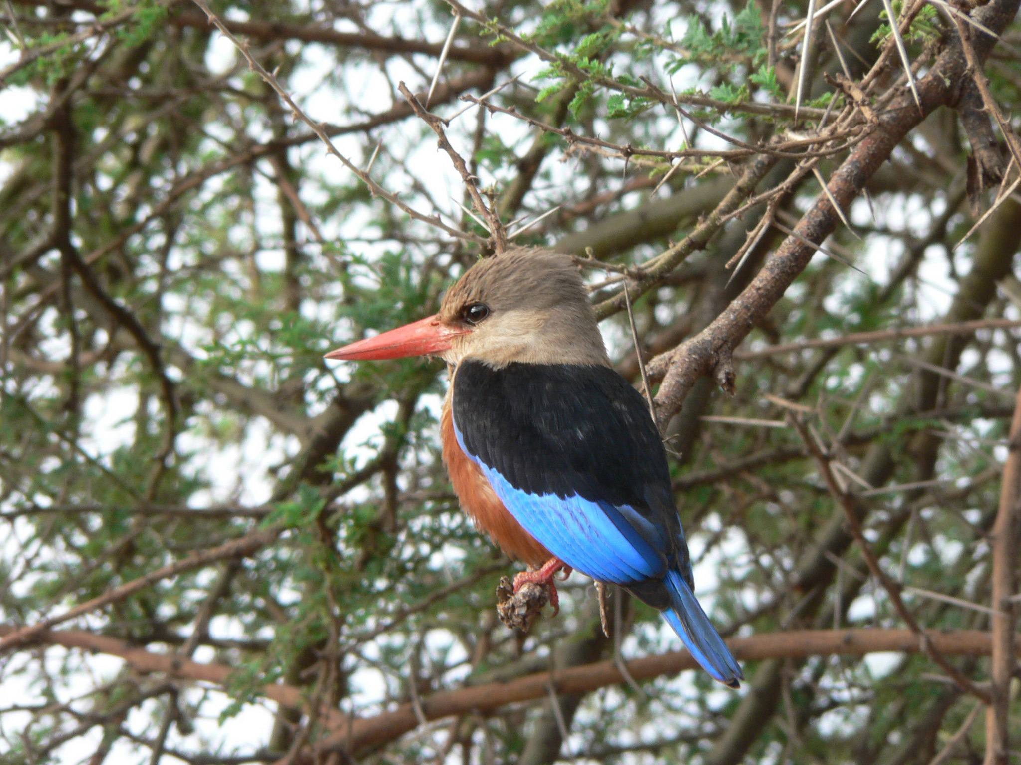 Lake Manyara National Park