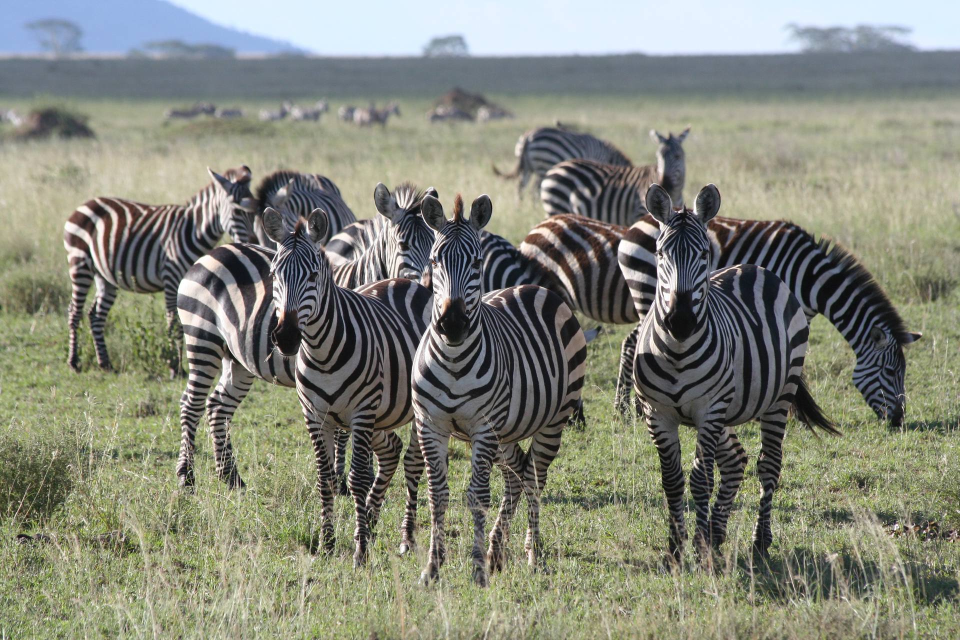 Serengeti National Park